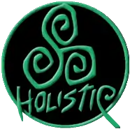 logo de Holistic Design