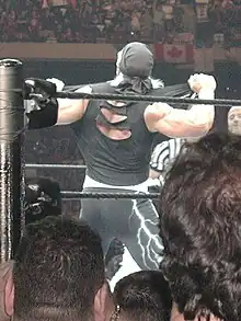 Hollywood Hogan, lors de son entrée à Wrestlemania 18