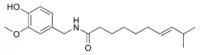 Chemical structure of homocapsaicin