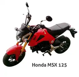 Image illustrative de l’article Honda MSX 125