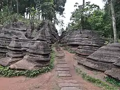 Sentier au milieu des pierres