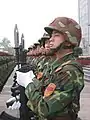 Gardes d'honneur à Nankin en 2009. La tenue de camouflage est le Type 99.