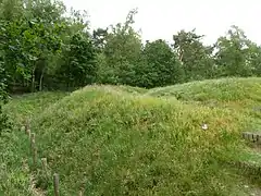 Tumulus mis au jour sur le site de Zwarte Berg (commune d'Hoogeloon).