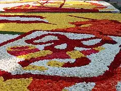 Détail d'un tapis de  fleurs de bégonias à Hoorn (Pays-Bas).