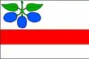 Drapeau de Horní Slivno