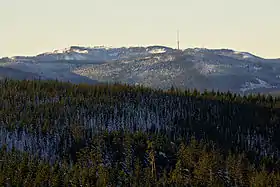 Le Hornisgrinde vu du nord-est.