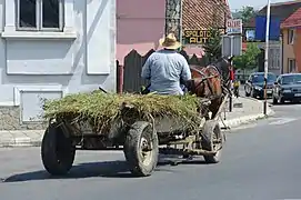 Chariot hippomobile transportant du fourrage en Roumanie.