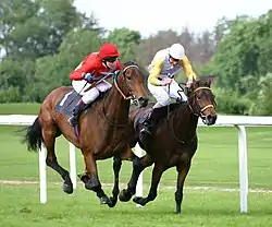 Photo de chevaux et jockeys au coude à coude sur la piste d'un hippodrome.