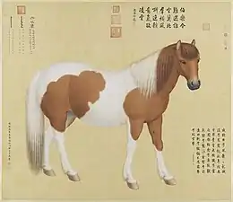 Chihuaying (赤花鹰, 1743)