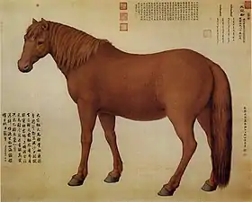 Dawanliu (大宛骝, 1748)