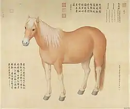 Hongyuzuo (红玉座, 1748)