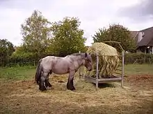 Un cheval vu de profil, massif, à la tête dans les tons marrons et au orps plus blanc, près d'une balle de foin.