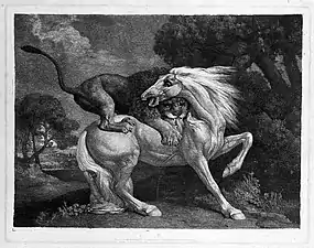 George Stubbs, Cheval attaqué par un lion (1788), gravure, Paris, musée du Louvre.