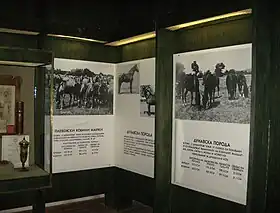 Histoire de la race danubienne présentée au musée du cheval du haras de Kabiuk