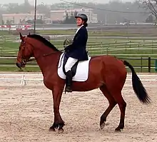 Cheval brun-rouge aux crins noirs et au bas des jambes de la même couleur, vu de profil, et monté par une cavalière.