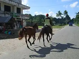 Cavalier vu de dos, avec deux chevaux.