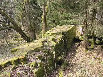 Ruines de l'un des mémoriaux Horst-Wessel (de), celui-ci dans le massif du Süntel, près de Hanovre (2008).