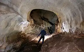 Intérieur de la grotte de l'Hortus.