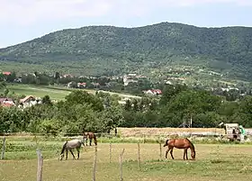 Hosszúhetény, devant la montagne.