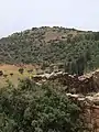 Maison abandonnée, au loin les vestiges de Khirbet Abu Esh-Sheba