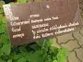 Panneau indicatif en langue thaï