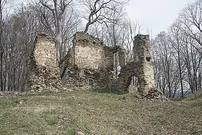 Ruines du château de Vikštejn.