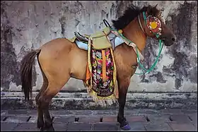 Poney marron avec harnachement décoré