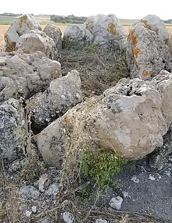 Dolmen des Hauts de Bretagne