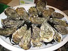Assiette d'huîtres creuses (ou « japonaises » : Magallana gigas, ex-Crassostrea)