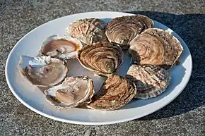 Assiette contenant 9 huîtres plates, dont trois ouvertes.