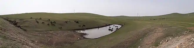 Photo montrant des chevaux allant boire dans un petit lac