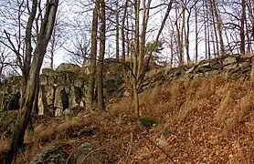 Ruines du fort de l'âge du Fer.