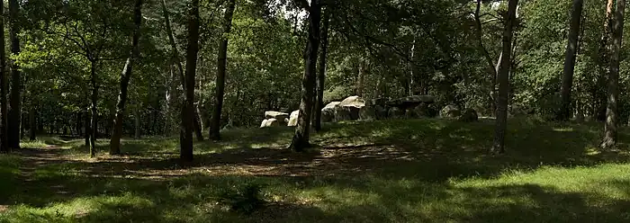 Exemple de dolmen de type ganggraf, l'Hunebed D45 avec son environnement dans les Emmerdennen