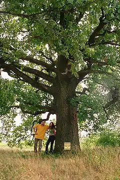 Description de cette image, également commentée ci-après