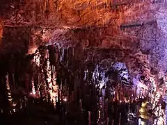 La cavité avec ses fines stalactites et ses très nombreuses stalagmites.