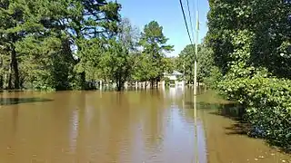 Photo de l'inondation sur la rive sud du Tar prise le 10 octobre.