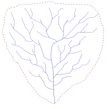 Schéma d'une structure arborescence