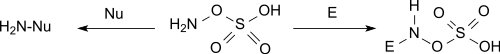 Réactivité de l'acide hydroxylamine-O-sulfonique comme électrophile et comme nucléophile.