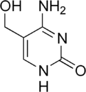 Image illustrative de l’article 5-Hydroxyméthylcytosine