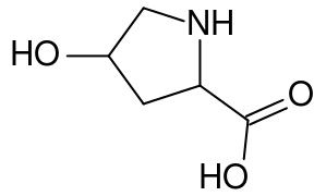 4-Hydroxyproline