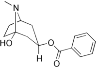 Image illustrative de l’article Hydroxytropacocaïne