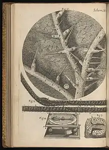 Hygromètre, Hooke, 1665.