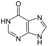 Hypoxanthine1 atome d'oxygène