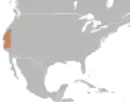 Distribution de Hypsiglena ochrorhyncha nuchalata