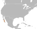 Distribution de Hypsiglena ochrorhyncha venusta