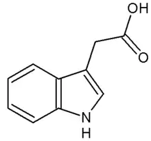 Image illustrative de l’article Acide indole 3-acétique
