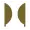Logo affichant deux demies silhouettes d'arbre