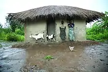 Flooding in Malawi.