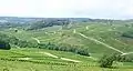 Vue d'une partie du vignoble de Château-Chalon.