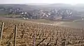 Vue du vignoble de Montagny sur la commune de Saint-Vallerin